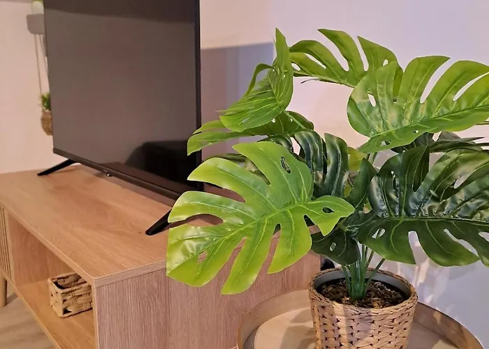 公寓 L'attique, Confort, Aere, Centre-ville, Netflix 拉瓦勒